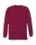 24499.webp