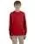 2454.webp