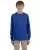 2462.webp