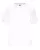 246286.webp