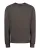 246555.webp