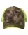 247429.webp