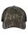 247434.webp