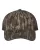 247435.webp
