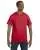 2496.webp