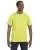2497.webp