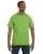 2502.webp