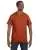 2507.webp