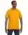 2516.webp