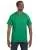 2519.webp