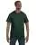2523.webp