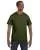 2524.webp