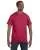 2533.webp