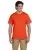2542.webp