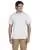 2543.webp