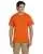 2554.webp