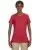 2556.webp