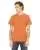 2595.webp