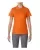 260262.webp