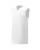 26038.webp
