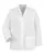 260560.webp