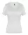 261763.webp