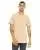 2619.webp