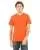 2621.webp