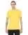 2622.webp