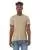 2630.webp