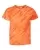 267554.webp