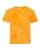 267587.webp