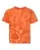 267596.webp