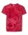 267602.webp