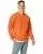 26856.webp