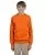 26941.webp