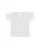 27026.webp