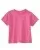 27074.webp