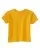 27079.webp