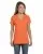 27234.webp