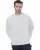 27253.webp