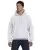 27261.webp