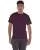 28075.webp