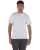 28081.webp