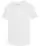 281816.webp
