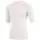 284226.webp