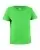 29006.webp