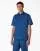 29070.webp