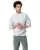 29111.webp