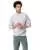 29113.webp